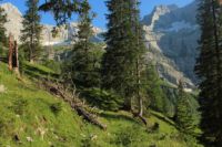 2015-07-01_2Drijaggenalm (187).JPG